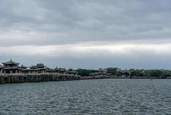 Comment cultiver ses propres plantes pour la phytothérapie